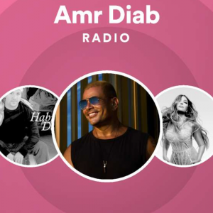 AMR DIAB FM