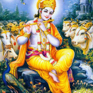 God Krishna	