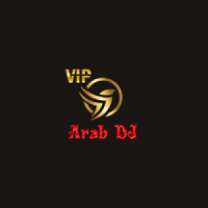 Arab DJ live