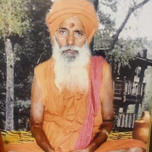 Swami Ji Namol 
